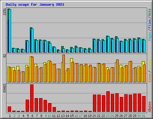 Daily usage for January 2021