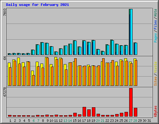 Daily usage for February 2021