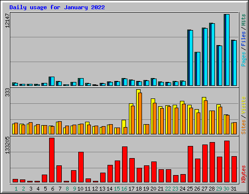 Daily usage for January 2022