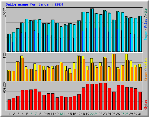 Daily usage for January 2024