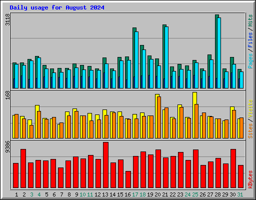 Daily usage for August 2024