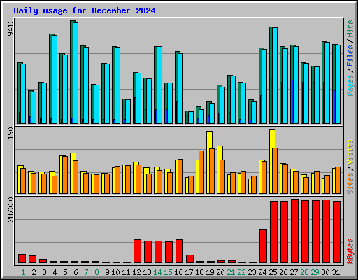 Daily usage for December 2024