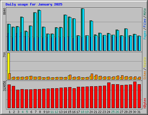 Daily usage for January 2025