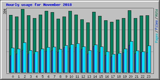Hourly usage for November 2018