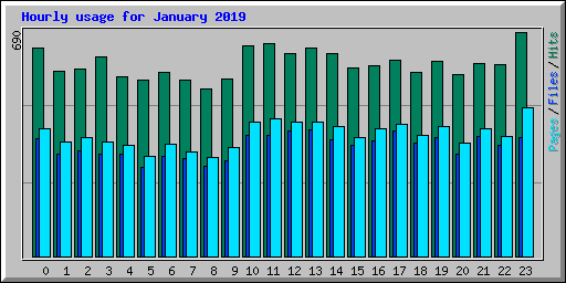 Hourly usage for January 2019
