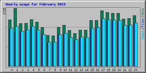 Hourly usage for February 2019