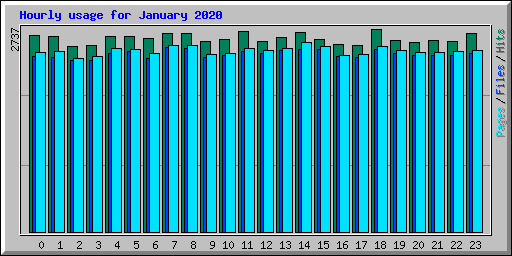 Hourly usage for January 2020