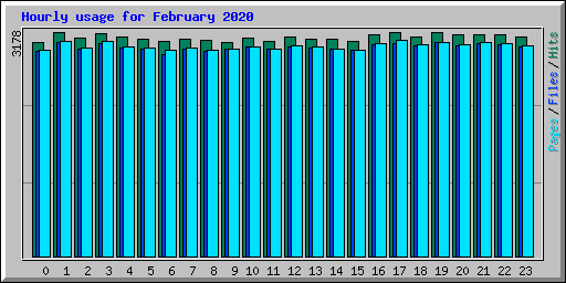 Hourly usage for February 2020
