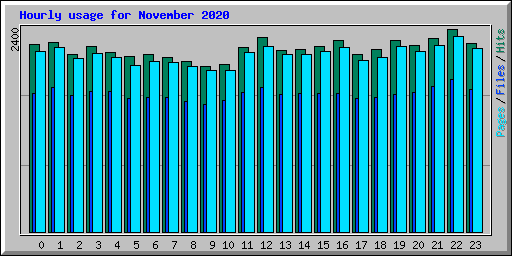 Hourly usage for November 2020