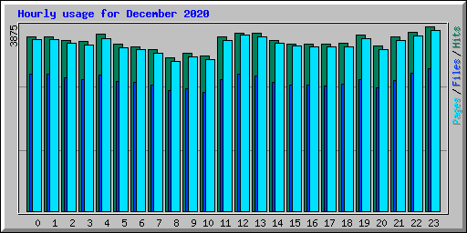 Hourly usage for December 2020