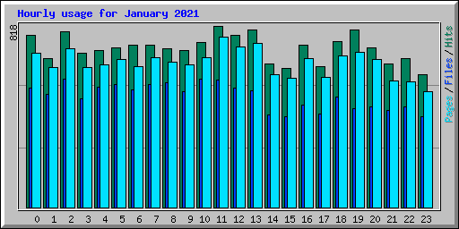 Hourly usage for January 2021