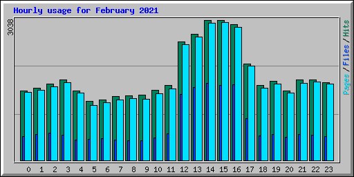 Hourly usage for February 2021
