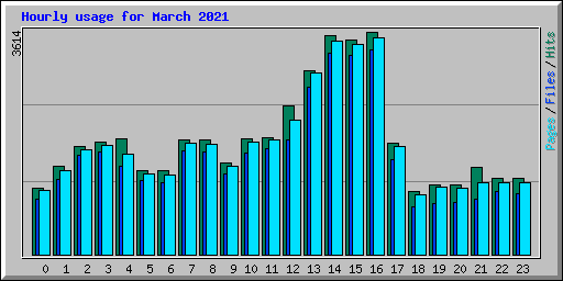 Hourly usage for March 2021