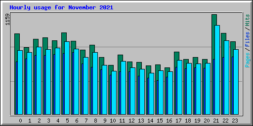 Hourly usage for November 2021