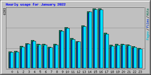 Hourly usage for January 2022