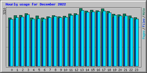 Hourly usage for December 2022