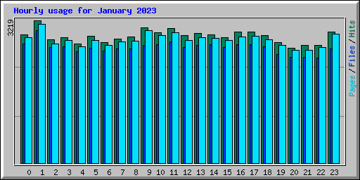 Hourly usage for January 2023