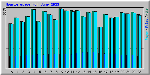 Hourly usage for June 2023