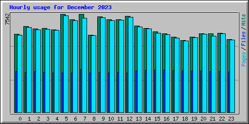 Hourly usage for December 2023