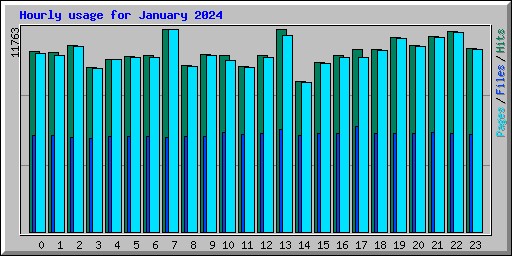 Hourly usage for January 2024