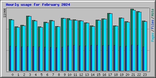 Hourly usage for February 2024