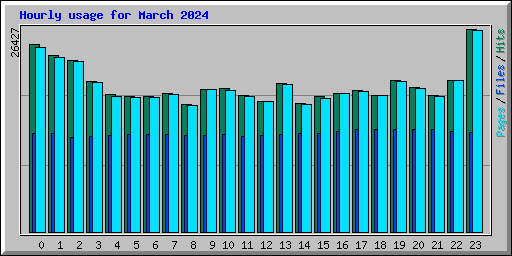 Hourly usage for March 2024