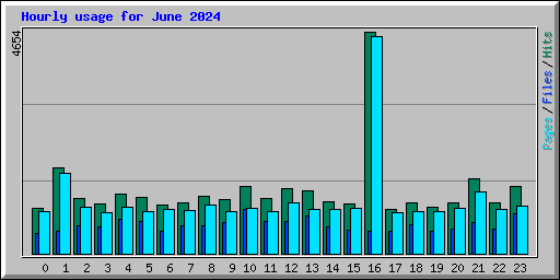 Hourly usage for June 2024