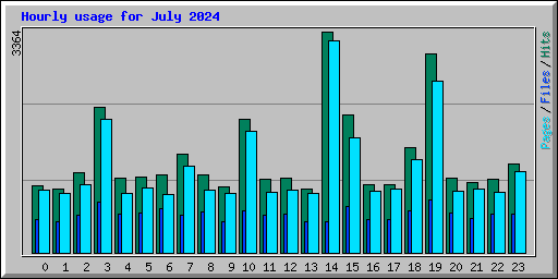 Hourly usage for July 2024
