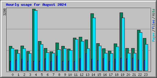 Hourly usage for August 2024