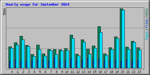 Hourly usage for September 2024