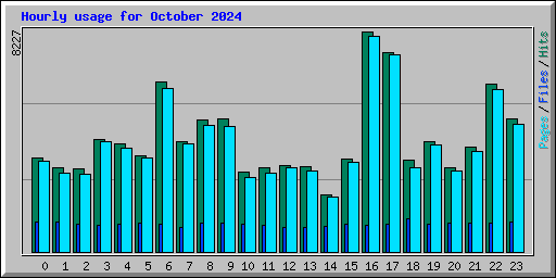 Hourly usage for October 2024