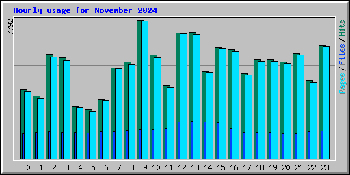 Hourly usage for November 2024