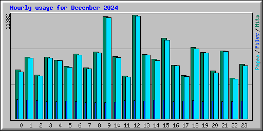 Hourly usage for December 2024