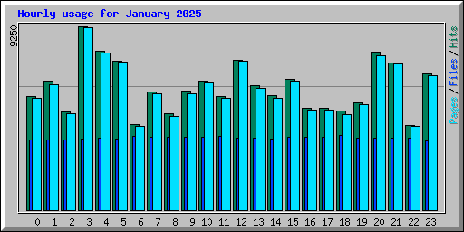 Hourly usage for January 2025