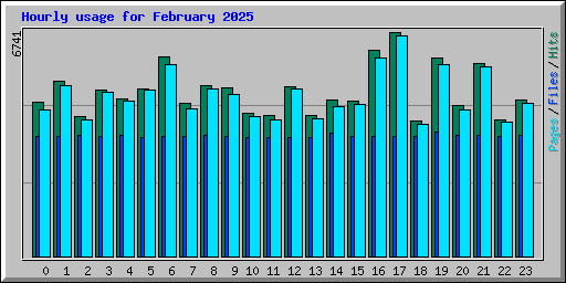 Hourly usage for February 2025