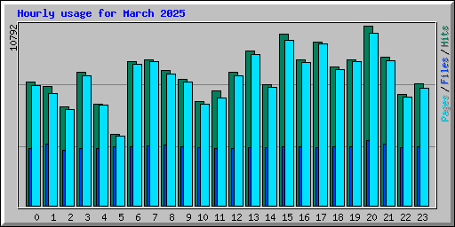 Hourly usage for March 2025