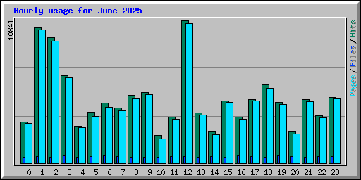 Hourly usage for June 2025
